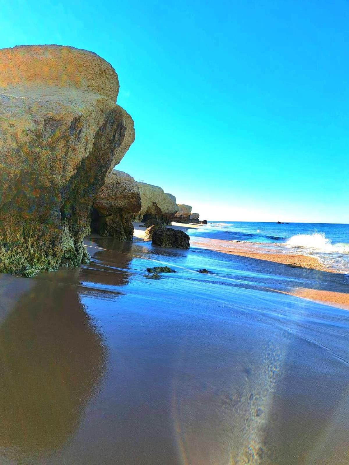 White T1 - Ocean View Apartment Albufeira Ngoại thất bức ảnh